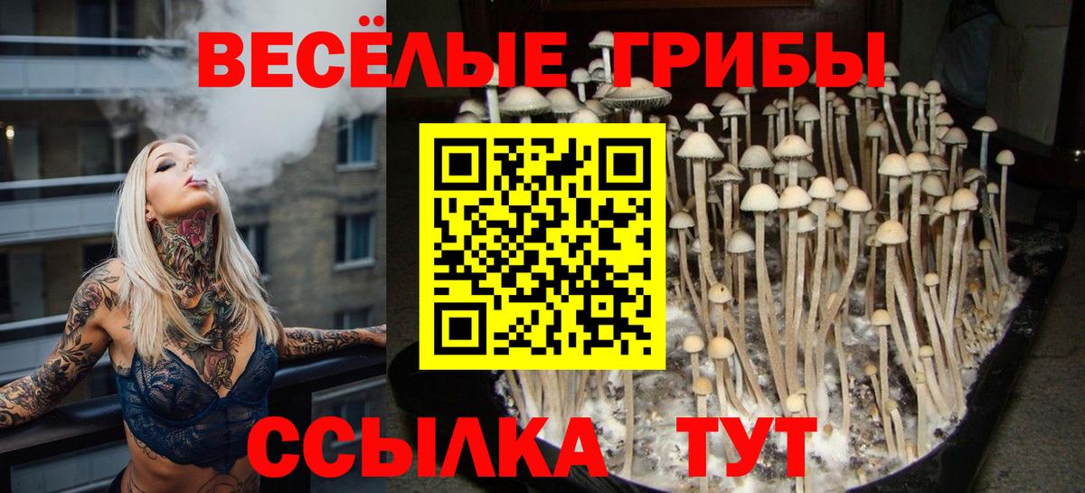 Галлюциногенные грибы прущие грибы Миасс